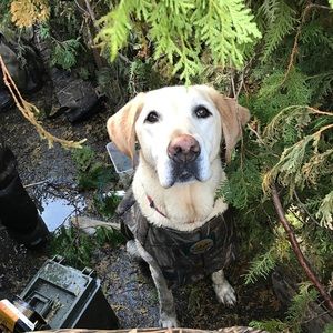 Meet your Posher, Austin